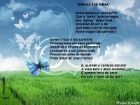 /album/a-minha-cidade-natal/penas-da-vida-jpg1/
